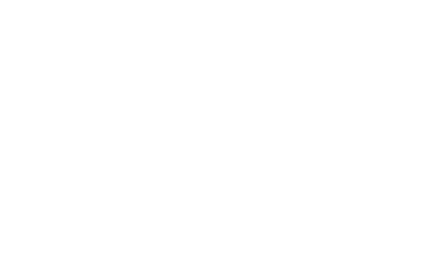 Logo syndichuis